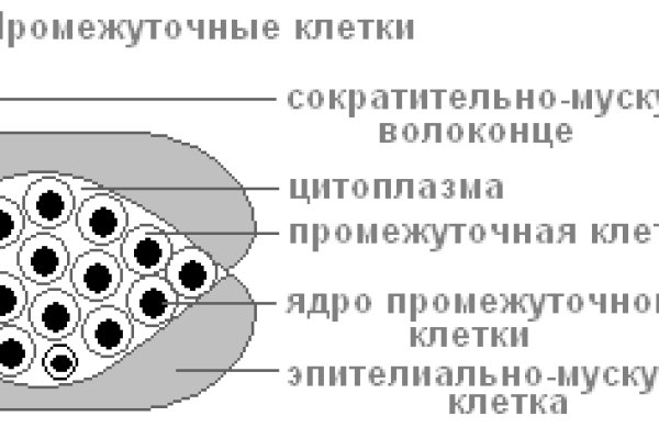 Не работает сайт мега